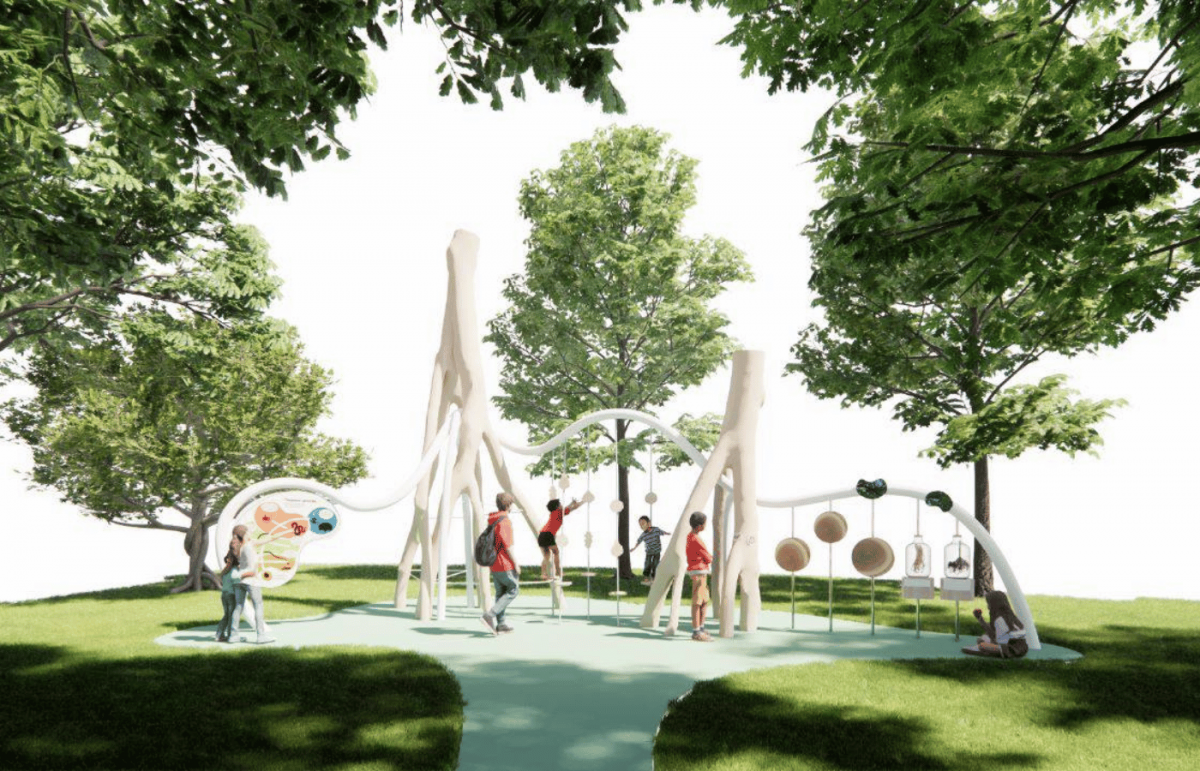Первая Научная детская площадка откроется в Сочи в июне 2023 года